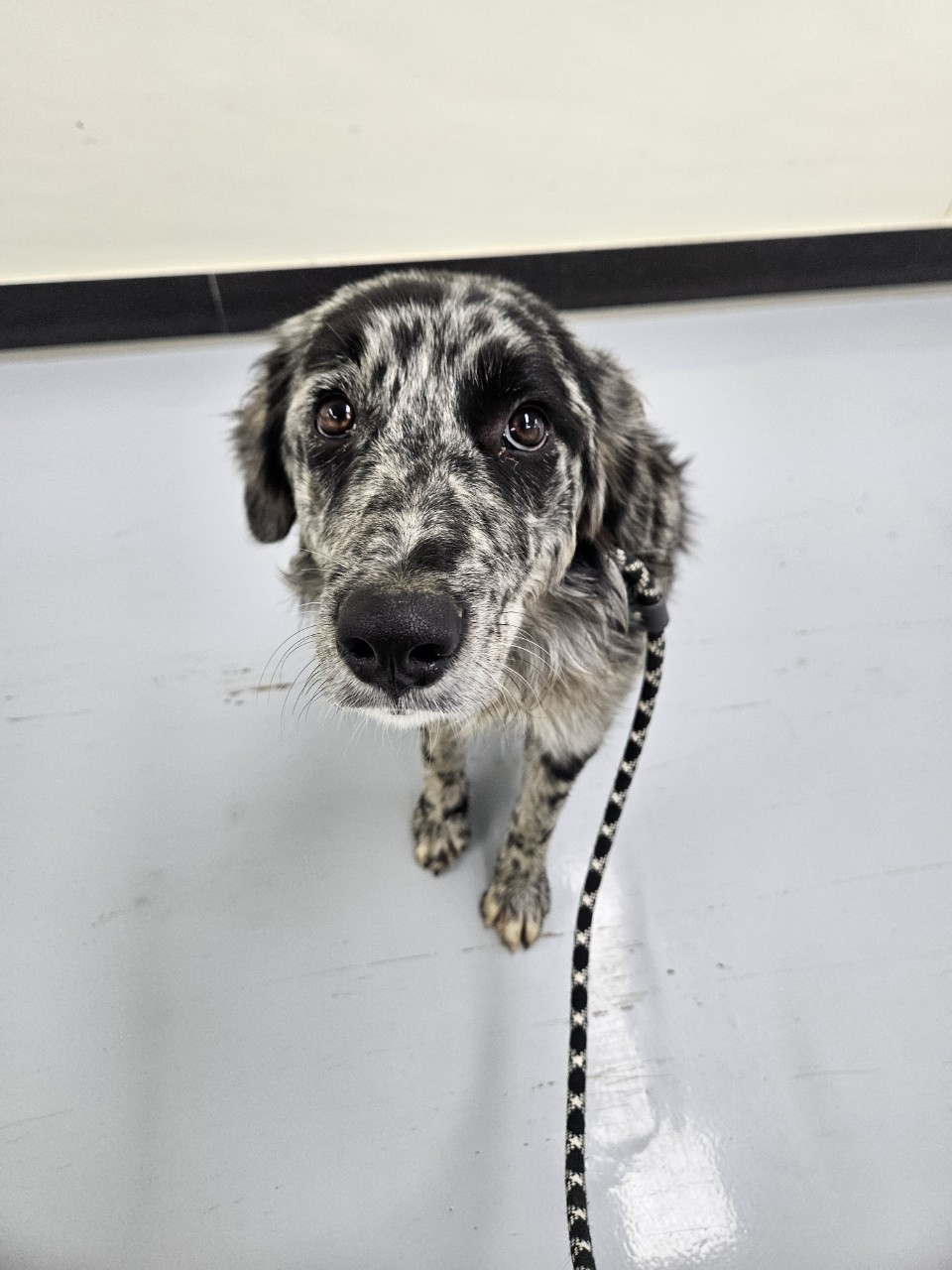 종료(반환) 보더 …